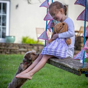Teddy bear