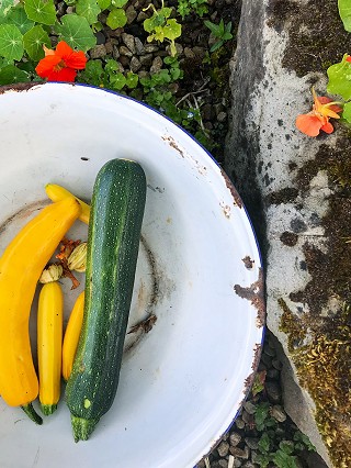 Courgettes